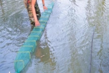 地笼放深水还是浅水合适，通常会放置在浅水区域