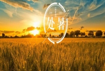 处暑节气的含义，意味着进入气象意义的秋天