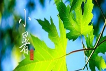 小暑是入伏的第一天吗，小暑不是入伏的第一天