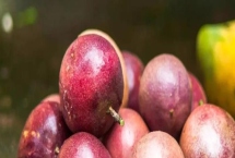 百香果属于热性还是凉性水果，二者皆不属于而是平性水果