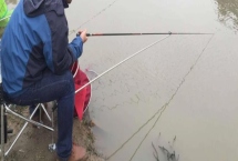 鱼竿19调和28调对比，野钓更适合使用28调鱼竿