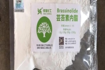 芸苔素多长时间见效，喷施后7-14天可以见效