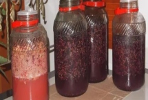 酿制葡萄酒的方法，采摘后需经过多道工序处理才能装瓶