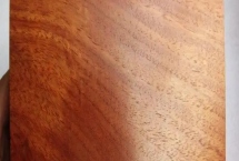 越南黄花梨简介，雌株心材有味道而雄株没有