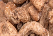 亩收益上万有哪些种植品种,推荐种植香椿、天麻等