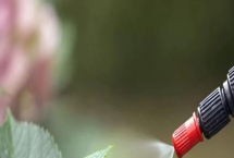 氯氰菊酯适合什么时候打，不同虫害的防治时间和方式不同