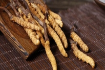 冬虫夏草的生长过程，它既不是植物也不是动物