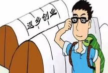 湖北农村种什么比较赚钱，种植秋葵的收益比较可观