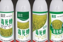 毒死蜱农药的残留有多少天，一般为10-14天左右