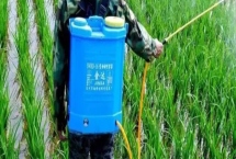 使用尿素肥的浓度，根据作物的种类而定