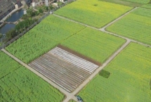 一亩地等于多少平方米，等于666.67平方米