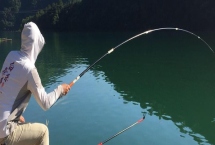 如何野钓鲢鳙，可选择有风浪的开阔水域作为钓点