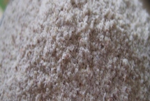 全麦粉是什么面粉，是将小麦表皮、胚芽、籽粒胚乳都精打细磨制成的