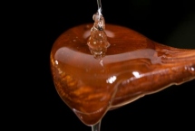 雪脂莲蜜的味道是怎样的，有浓郁的花香味