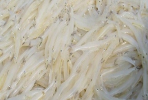 银鱼的产地,太湖、西湖、马湖是三大银鱼盛产湖