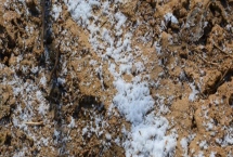 复合肥撒在地表多长时间会挥发,挥发时间与温度有关