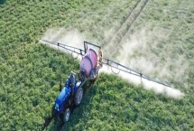 专治芦苇和茅草用哪种除草剂，可以使用高效氟吡甲禾灵