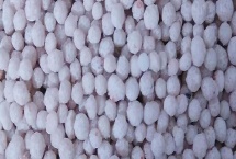 施复合肥有哪些注意事项，高浓度复合肥主要用在经济作物上