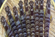 竹节虾和明虾有什么区别，前者呈蓝褐色、后者呈青蓝色或棕黄色