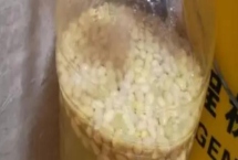 黄豆发酵后是不是磷钾肥,不是磷钾肥而是有机肥