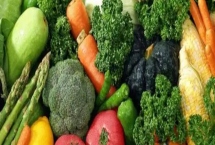 种植大棚蔬菜的成本和利润，初期每亩地的成本为7000元左右