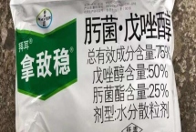 什么是拿敌稳，是一种低毒内吸性杀菌剂