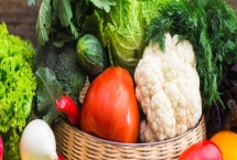 有机蔬菜的种植技术，生产所用肥料主要是有机肥料