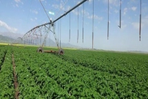 我国未来的农业发展趋势，有机农业前景可观