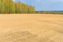 一亩地如何算，1亩等于60平方丈