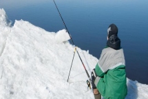 冬季雨后的阴天什么时间好钓鱼，上午10点到下午3点为佳