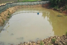 新挖的鱼塘养鱼前要怎么处理，需反复多次放入清水进行清洗和暴晒