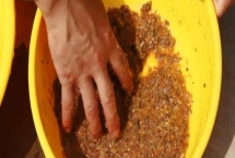 四季钓鲫鱼饵料配方,因时节、气温不同而不同