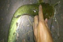 钓鲶鱼的技巧，以夜钓为佳