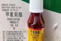 菊酯类杀虫剂可以杀哪些虫,甲氰菊酯可防治咀嚼式和刺吸式口器害虫