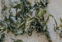 天然日晒紫菜的价格，头水紫菜的价格约80元一斤