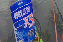 蓝鲫饵料介绍，可垂钓鲫鱼、鲤鱼、草鱼等鱼种