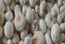 郓半夏的价格，大概为50-180元左右/斤