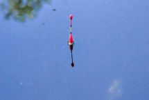 大肚漂中鱼后是什么漂相,主要有黑漂、顿口、移漂、送漂等