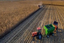 俄罗斯农业分布特点,主要分布于东欧平原中部及南部的伏尔加河流域、顿河流域