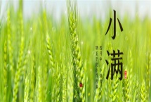 小满是什么节气，是第八个节气