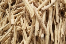 白鲜皮的种植方法，可秋栽也可春栽