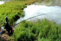 黑漂跑鱼是怎么回事，可能是调漂过灵或杂鱼闹窝导致