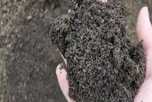 有机肥的原料，常见的有作物秸秆、畜禽粪便等