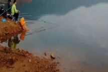 3-4月份为什么不钓鱼，主要是为了让鱼类正常繁殖