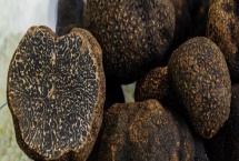 食用菌的种植市场,在我国市场需求大