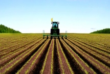 三农工作的重要性,能保持经济持续健康发展