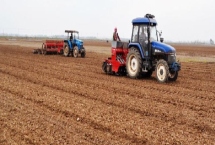 小麦的适宜播种量，半冬性品种每亩播种7-9公斤