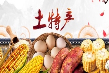 青海省格尔木市的特产，包括枸杞、酿皮、唐古拉牦牛等种类