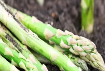 芦笋苗期怎么管理，定植后要做好补苗、中耕除草等工作