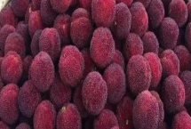 杨梅东魁好吃还是荸荠好吃,各有特点